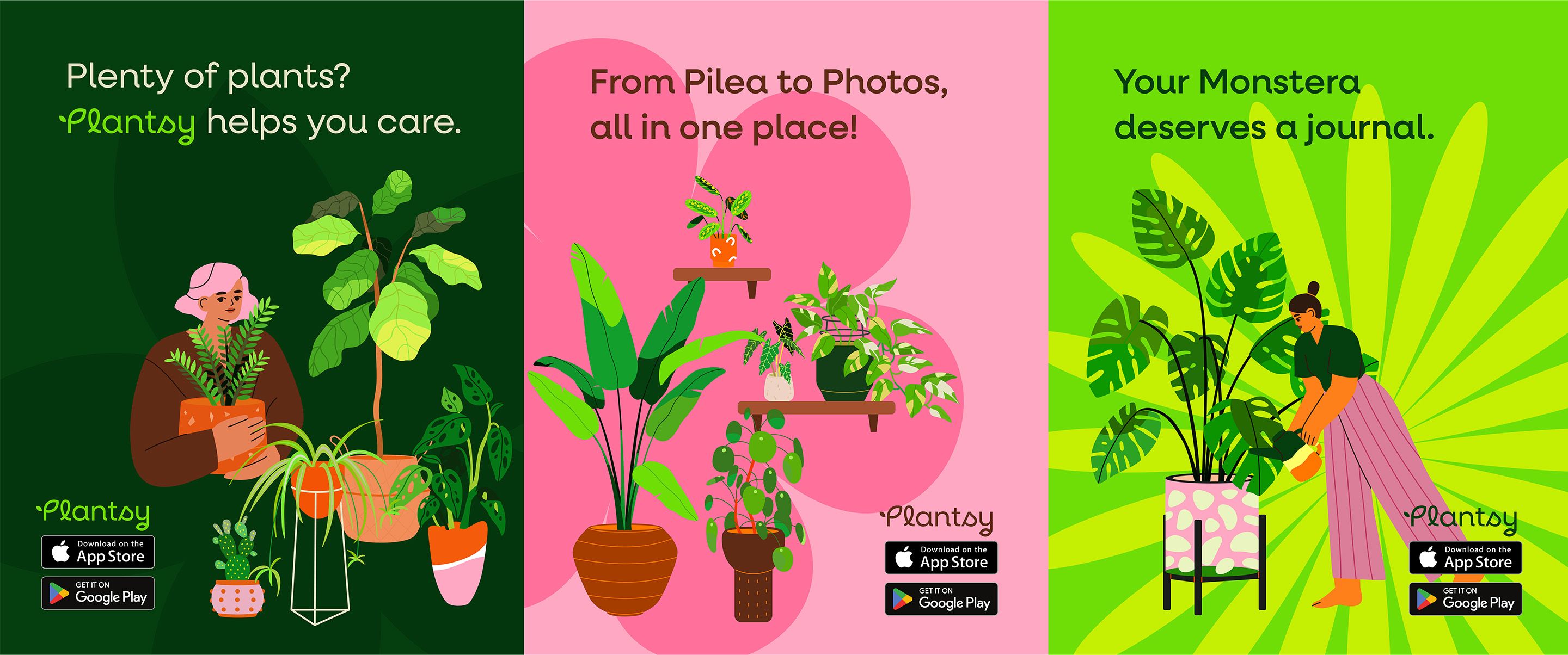 Plantsy illustrations — botanical illustration system